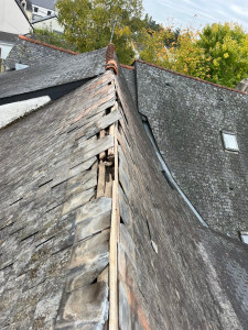 Traitement toiture Saint-Sébastien-sur-Loire